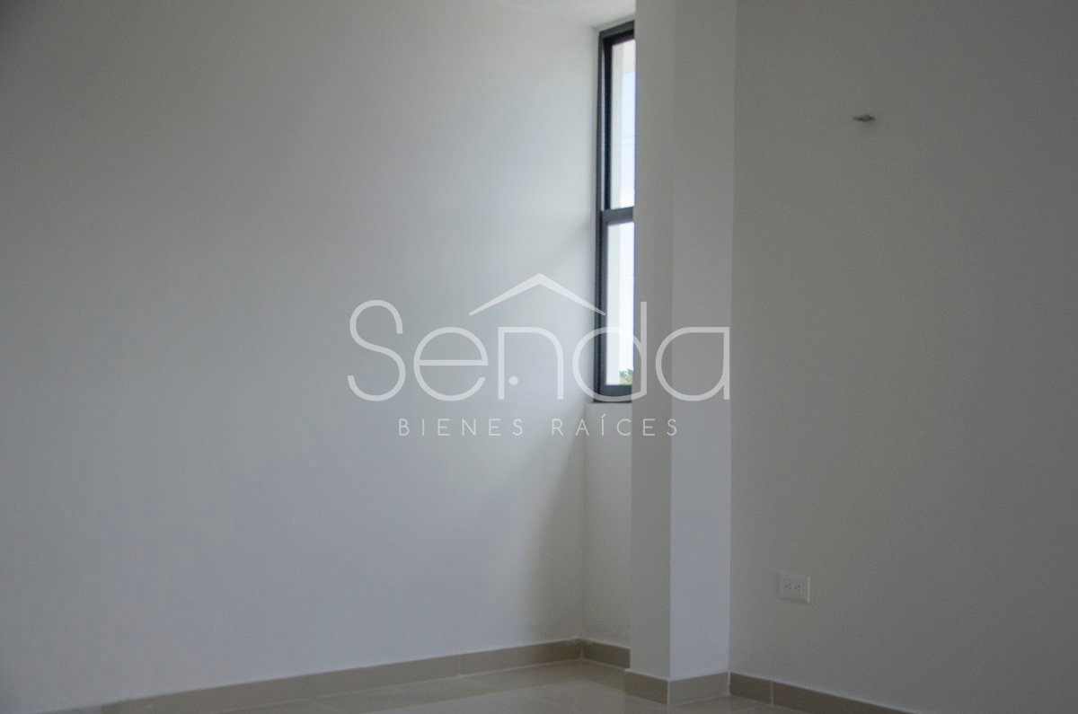 2019-09-11_00_02_25_13_19WE-06_PALMAR IV_16.jpg